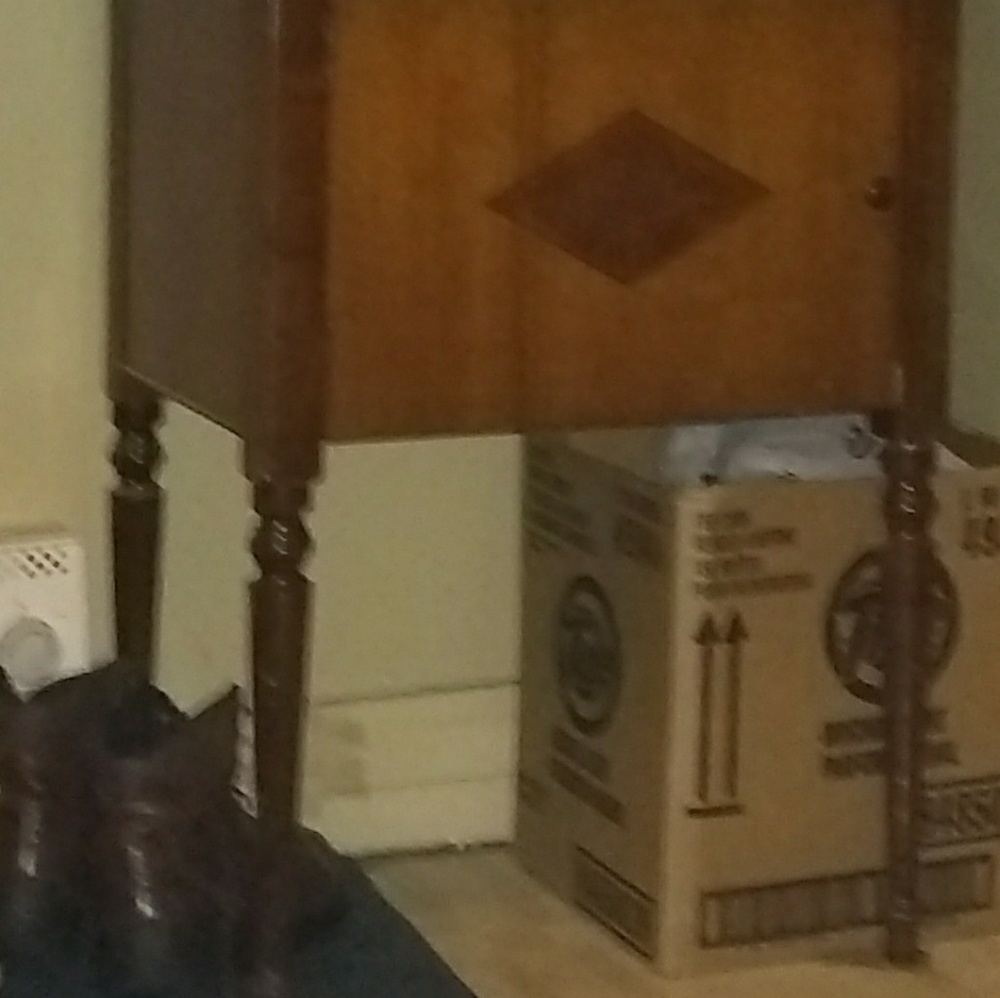 Singer sewing machine